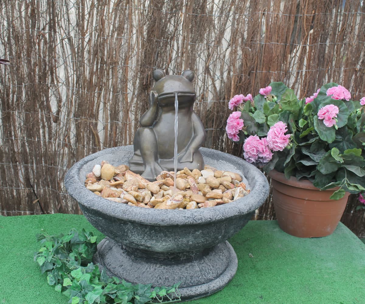 Patio Fountain With Frog