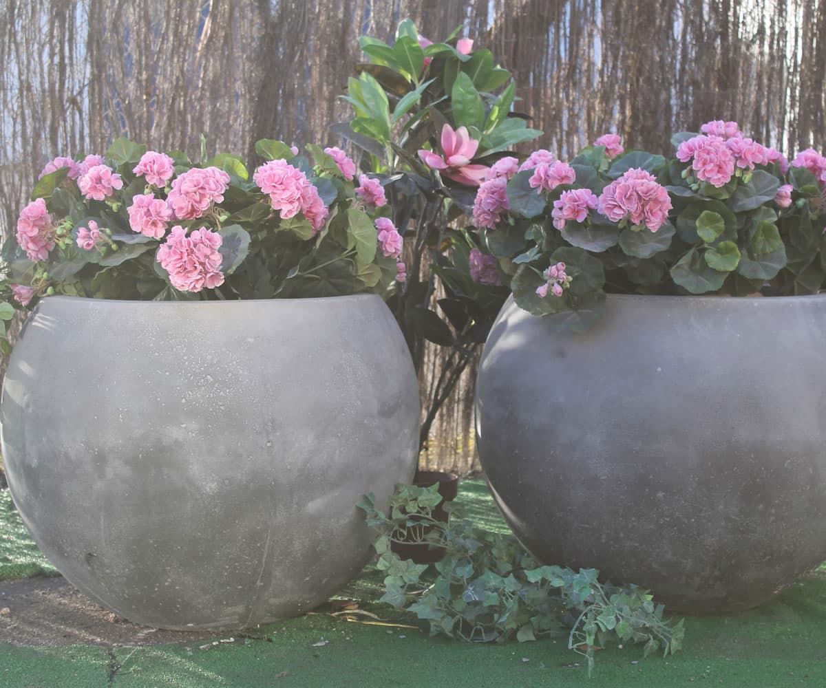 Pair of Bowl Tubs