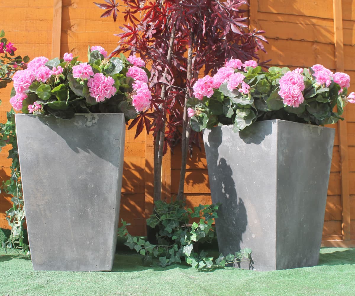 Pair of Canterbury Tubs