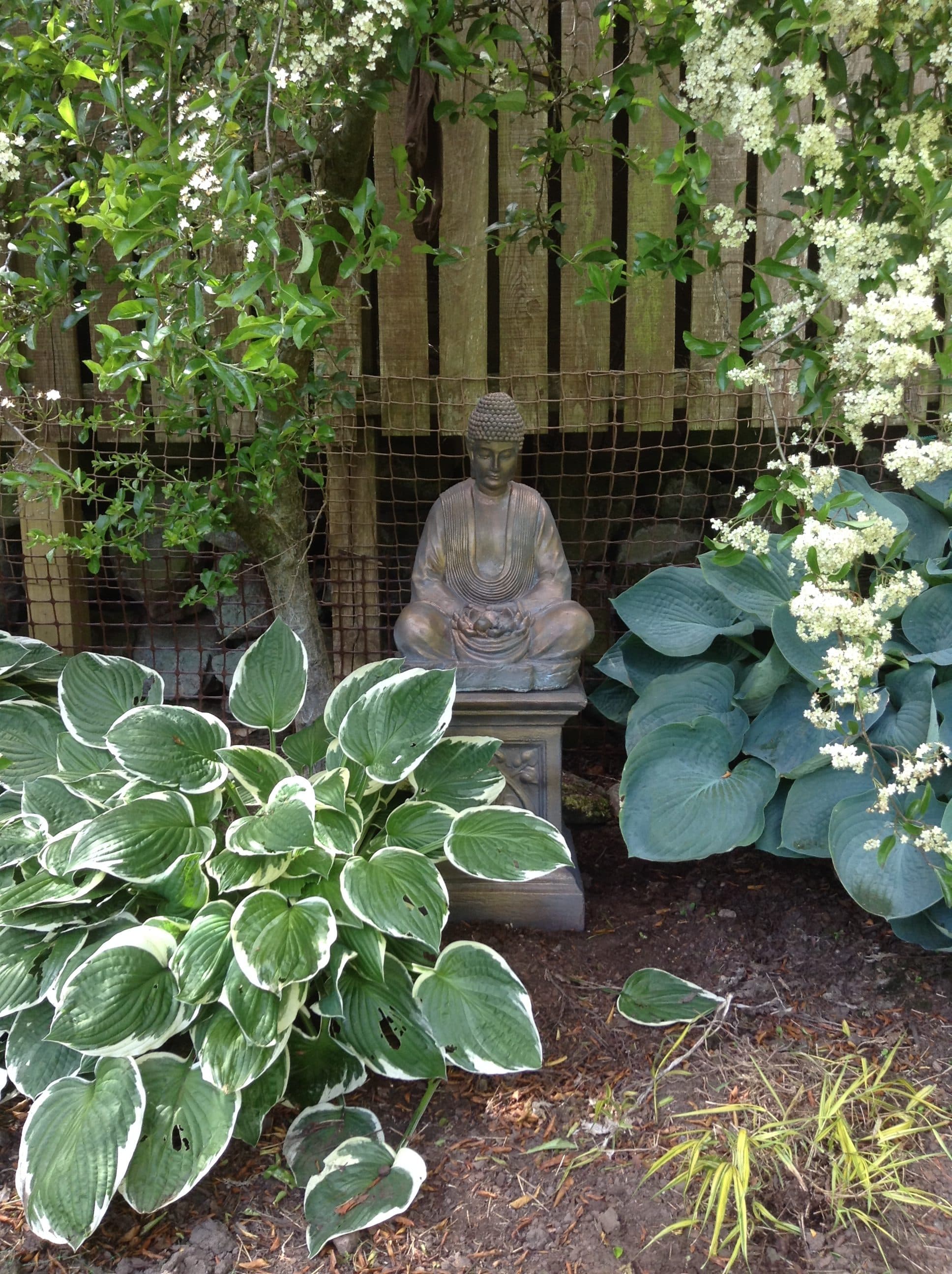 Buddha of Light on a Sherwood Plinth