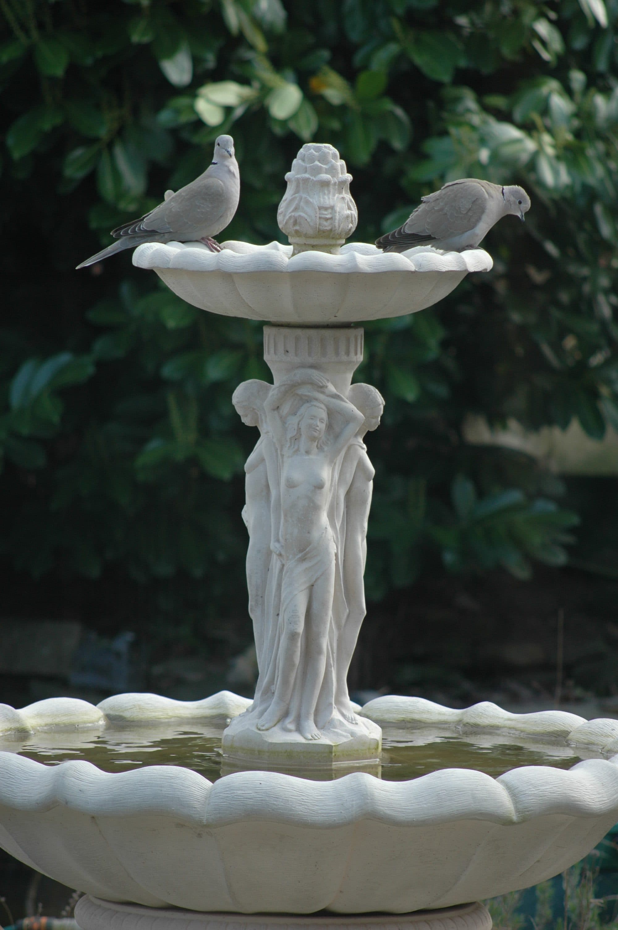 3 Graces Fountain with Medium Cambridge Pool Surround Larger Pools Available
