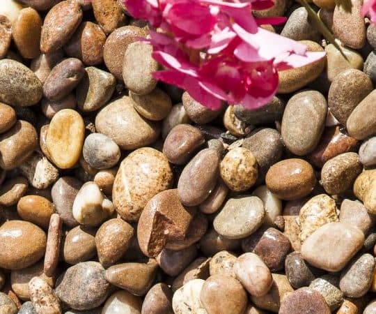 Decorative Stones for your Fountain