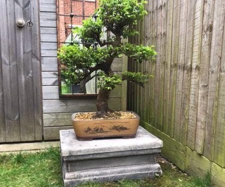 Single stepped Plinth