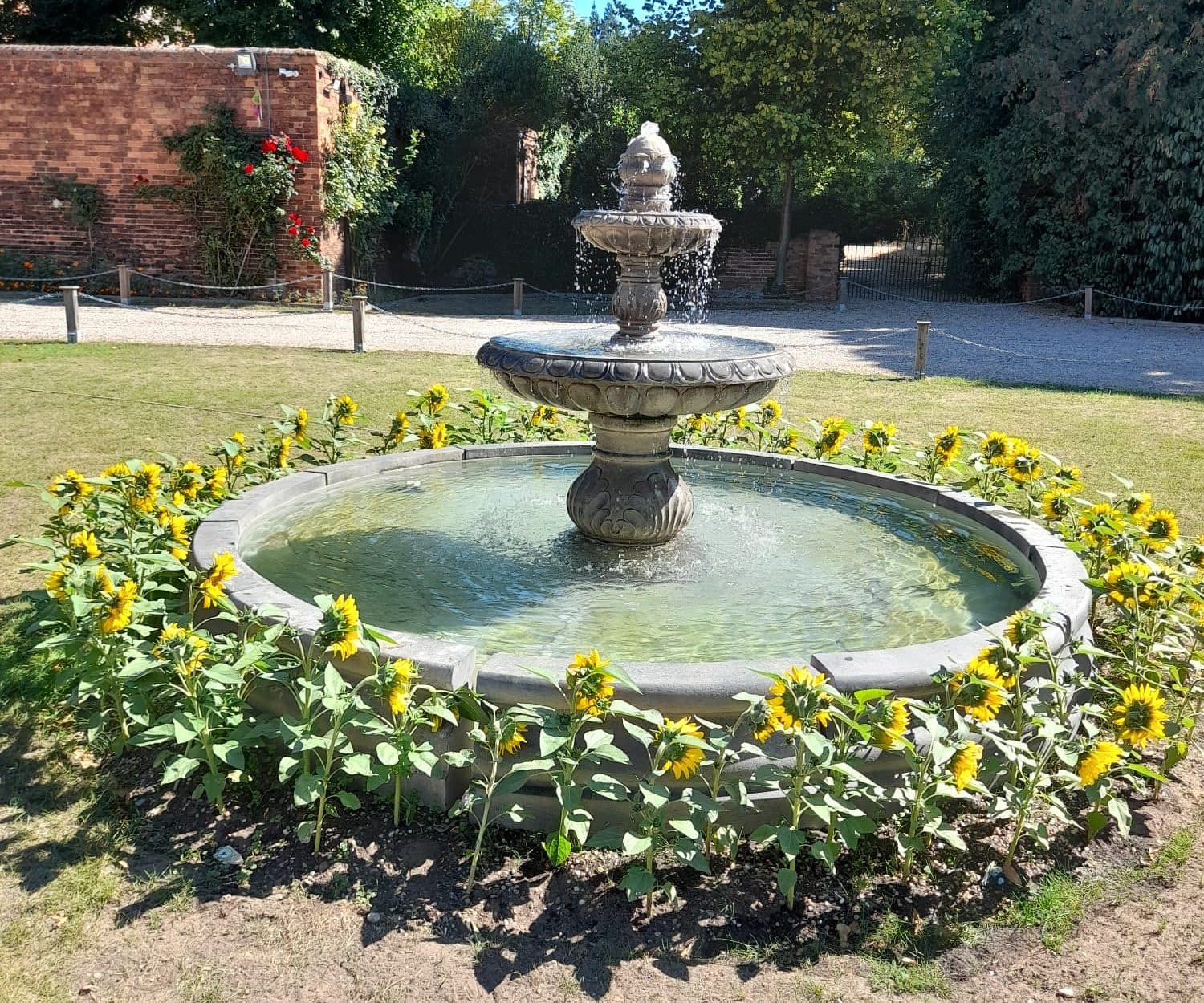 2 Tiered Dynasty Fountain with Large Romford Pool Surround
