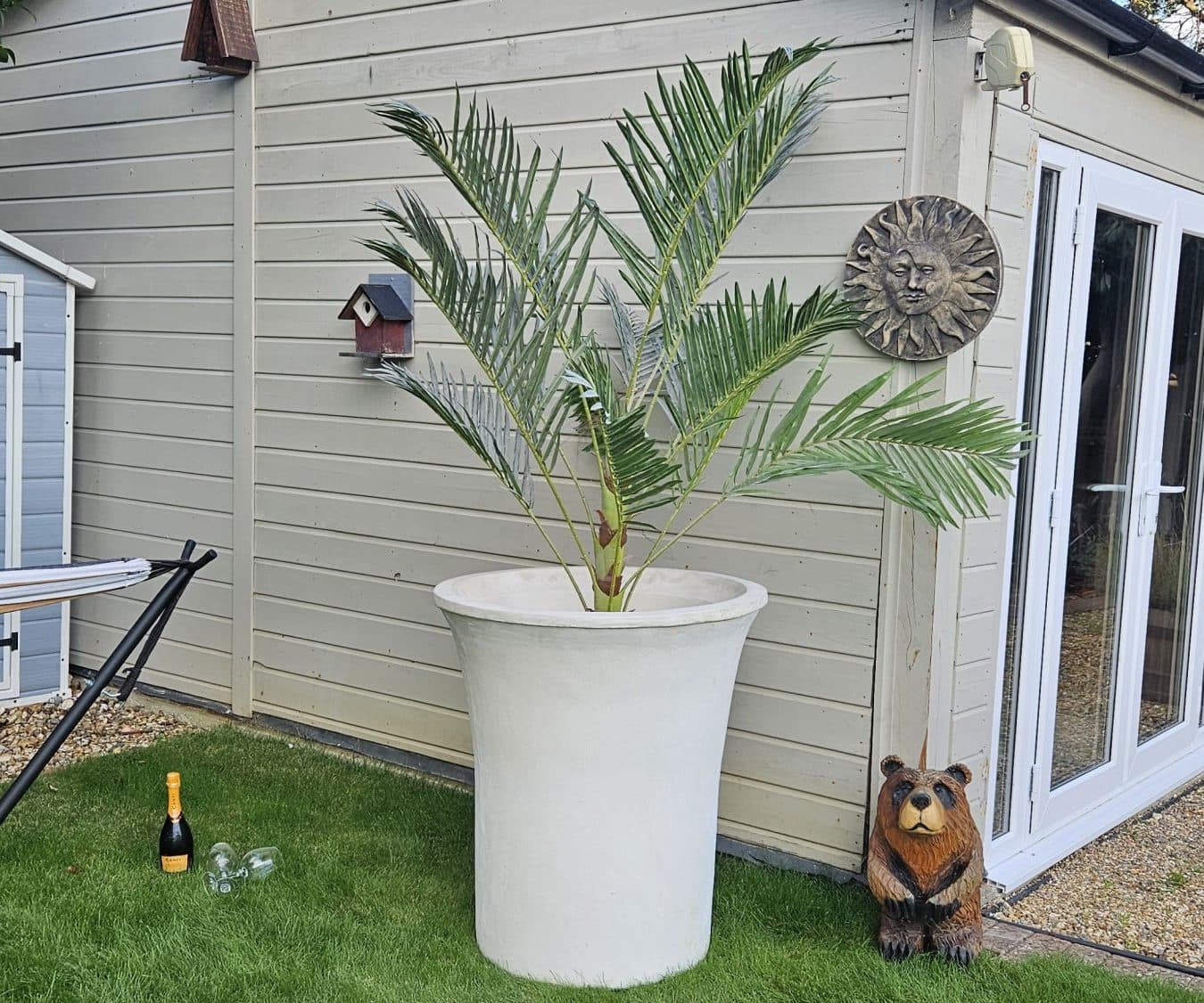 Single Large olive tree stone contemporary planter pots
