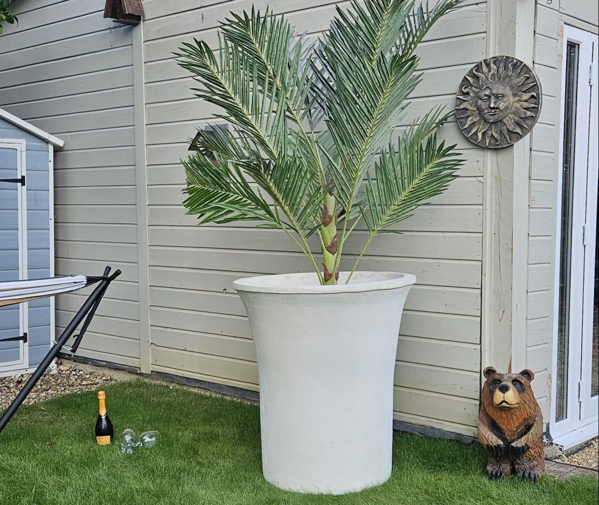 Single Large olive tree stone contemporary planter pots