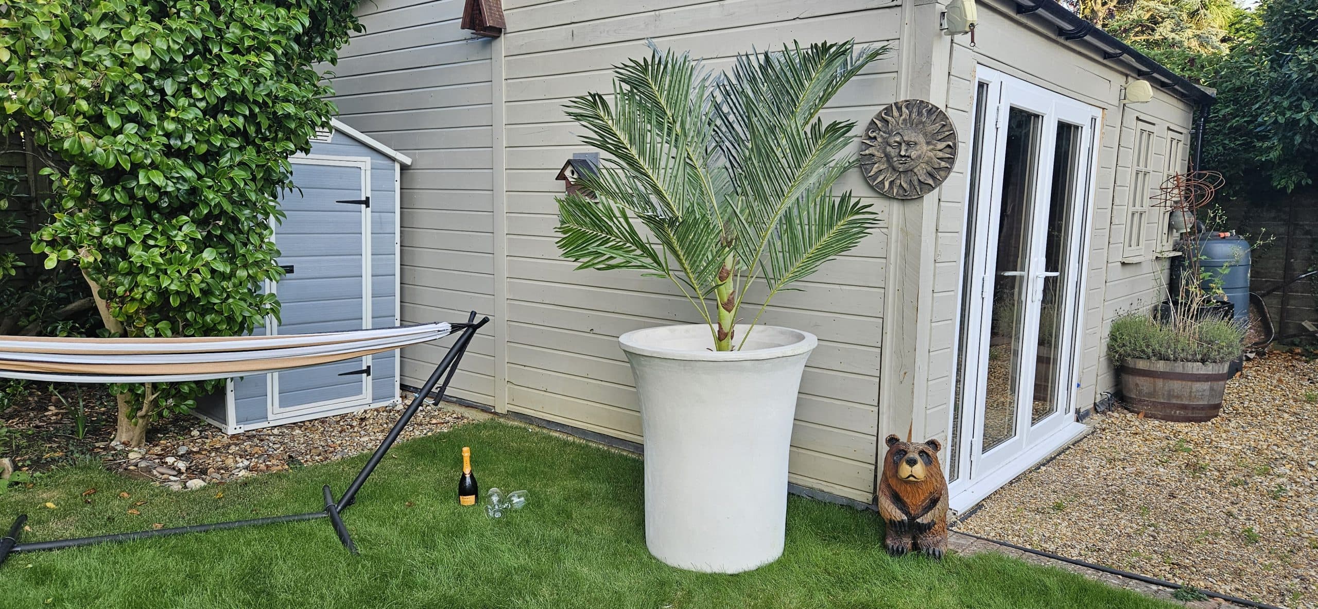 Single Large olive tree stone contemporary planter pots