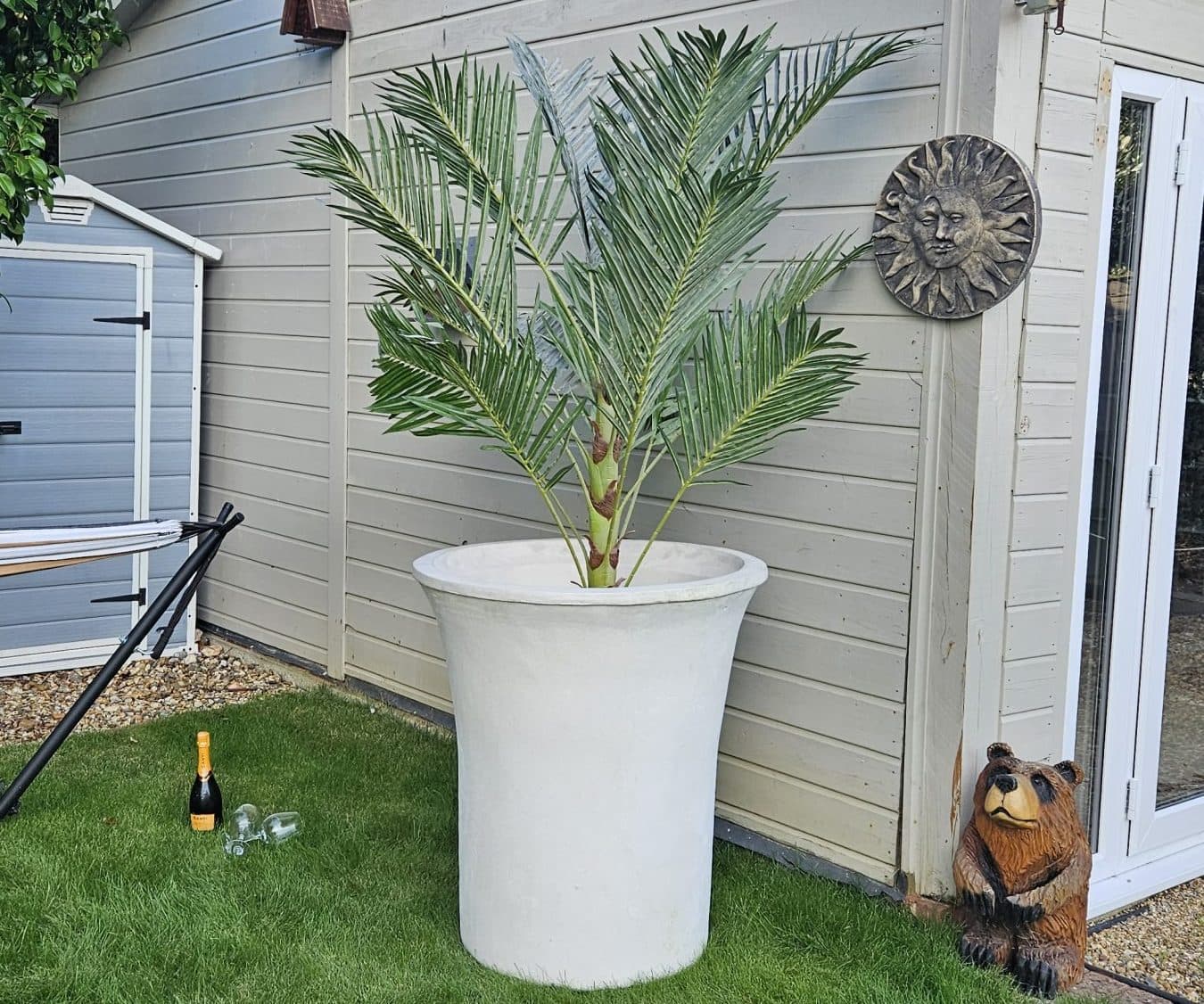 Single Large olive tree stone contemporary planter pots