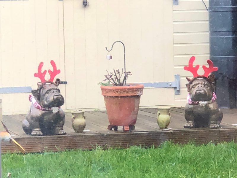 Pair of Bull Dogs - Stone Garden Ornaments & Garden Statues in UK